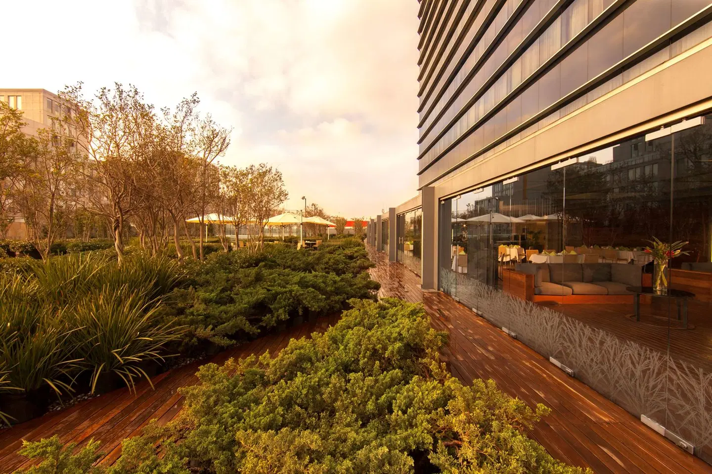 Hilton Mexico City Reforma Garten