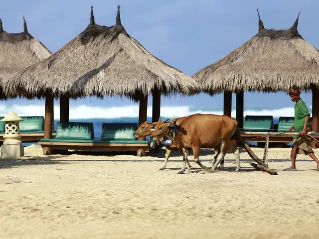 Novotel Lombok Resort and Villas Tiere