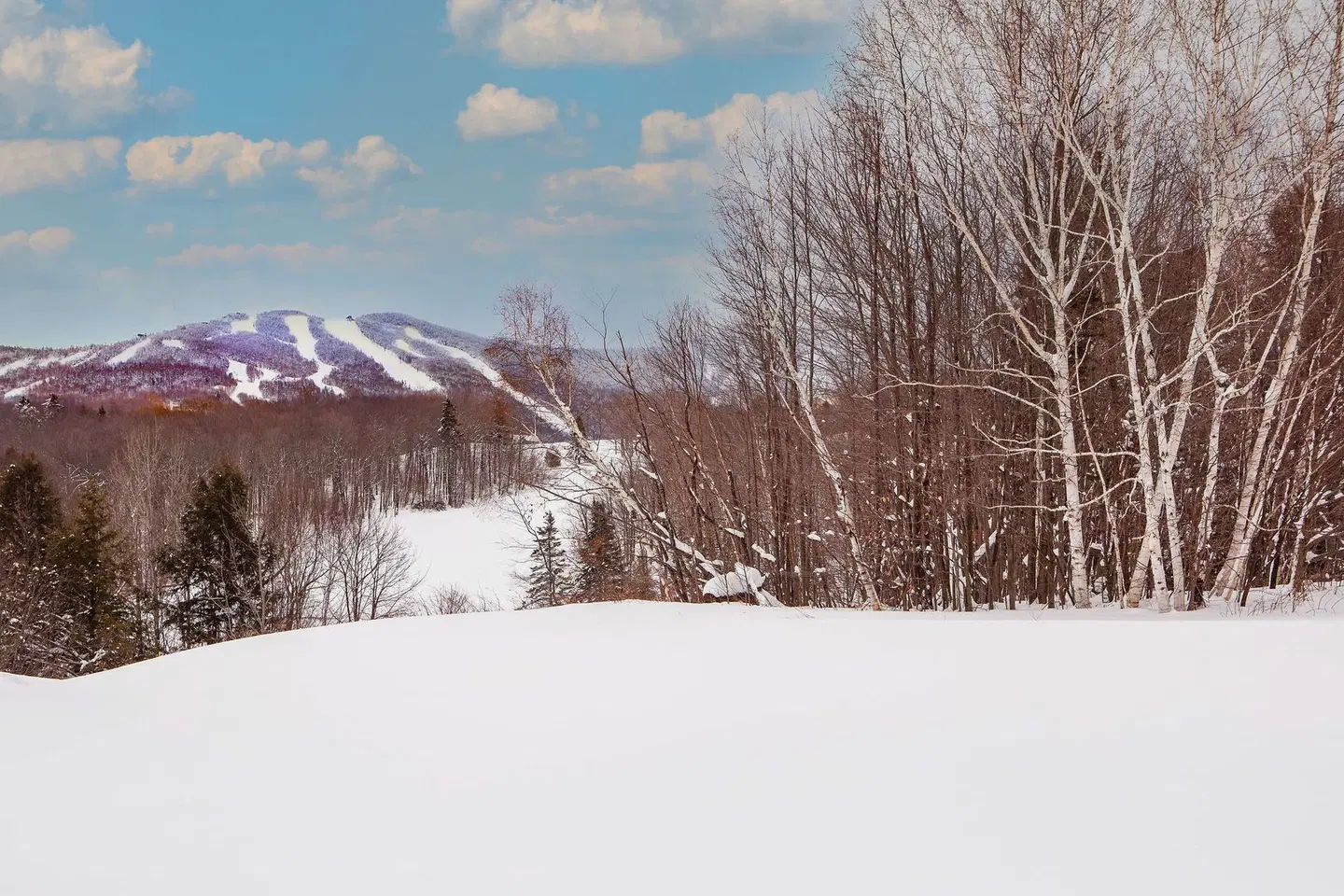 Killington Mountain Lodge, Tapestry Collection by Hilton LANDSCAPE