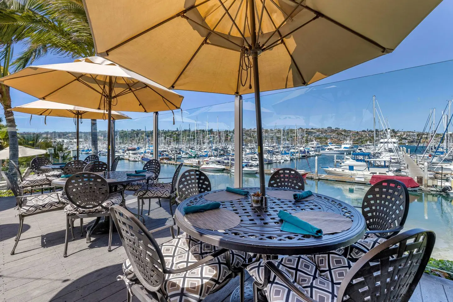 Best Western Plus Island Palms Hotel & Marina Terrasse