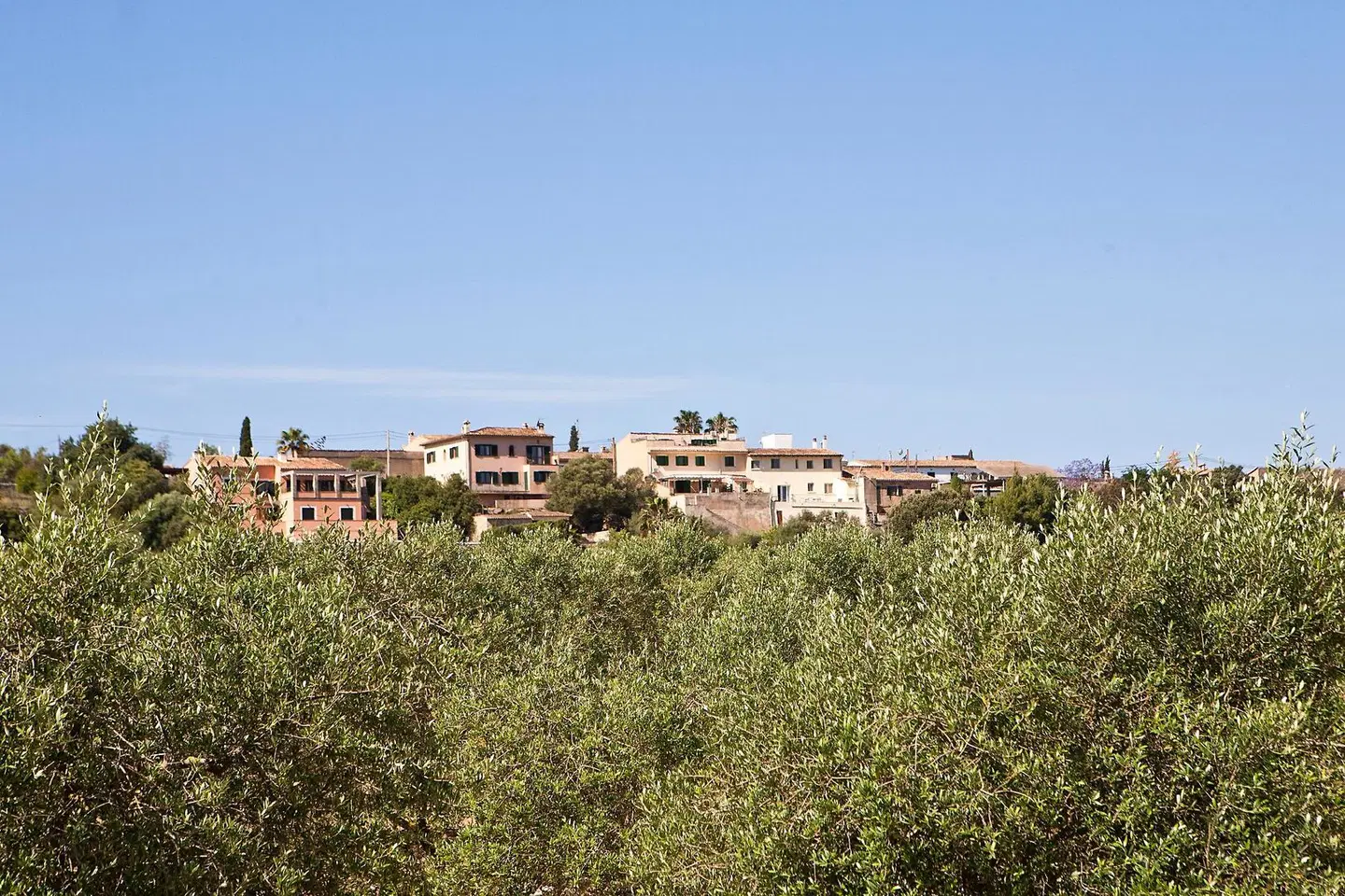 Finca Agroturismo S'Hort de Son Caulelles LANDSCAPE