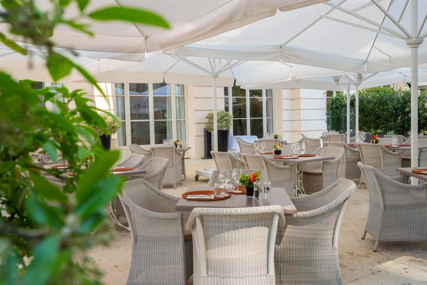 Waldorf Astoria Versailles - Trianon Palace Terrasse