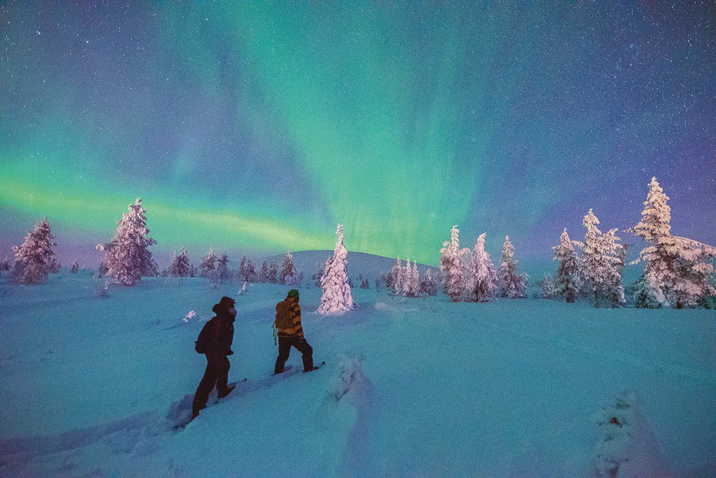 Harriniva - Polarlichtzauber in Lappland SPORTS_AND_LEISURE