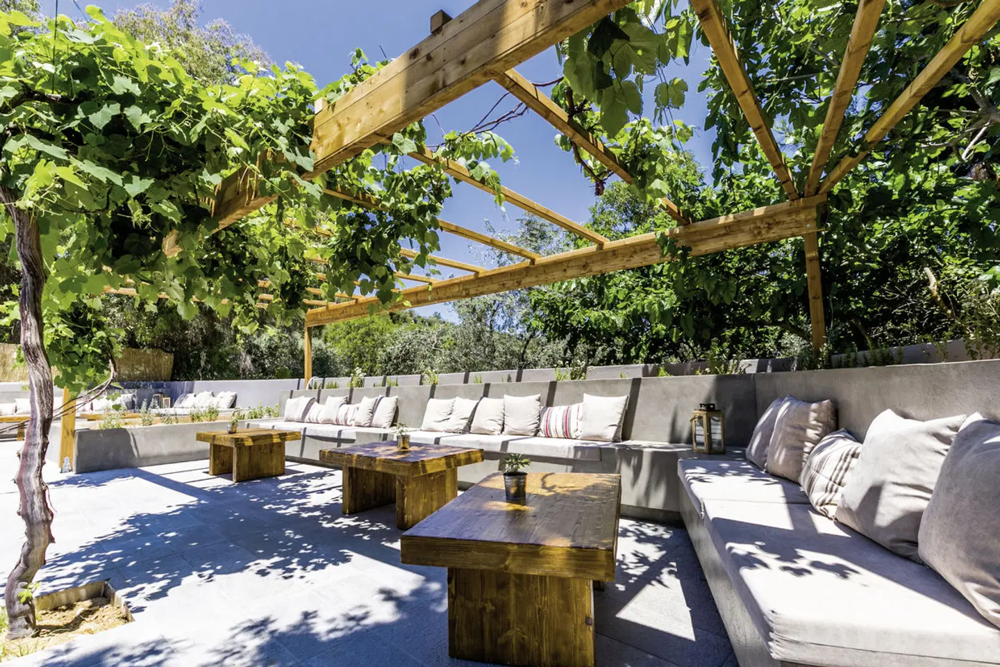 Zoe Terrasse