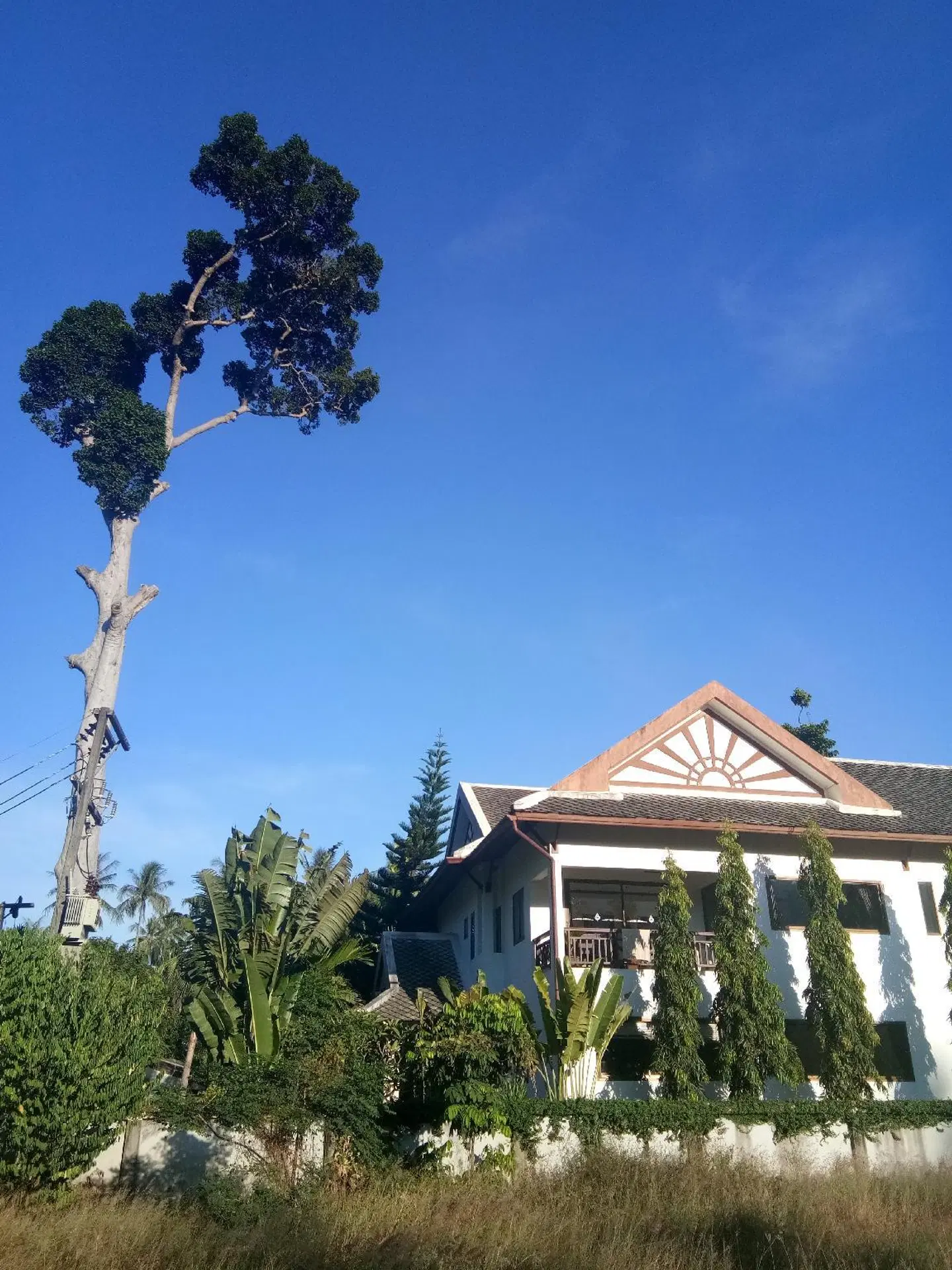 Royal Cottage Residence Garten