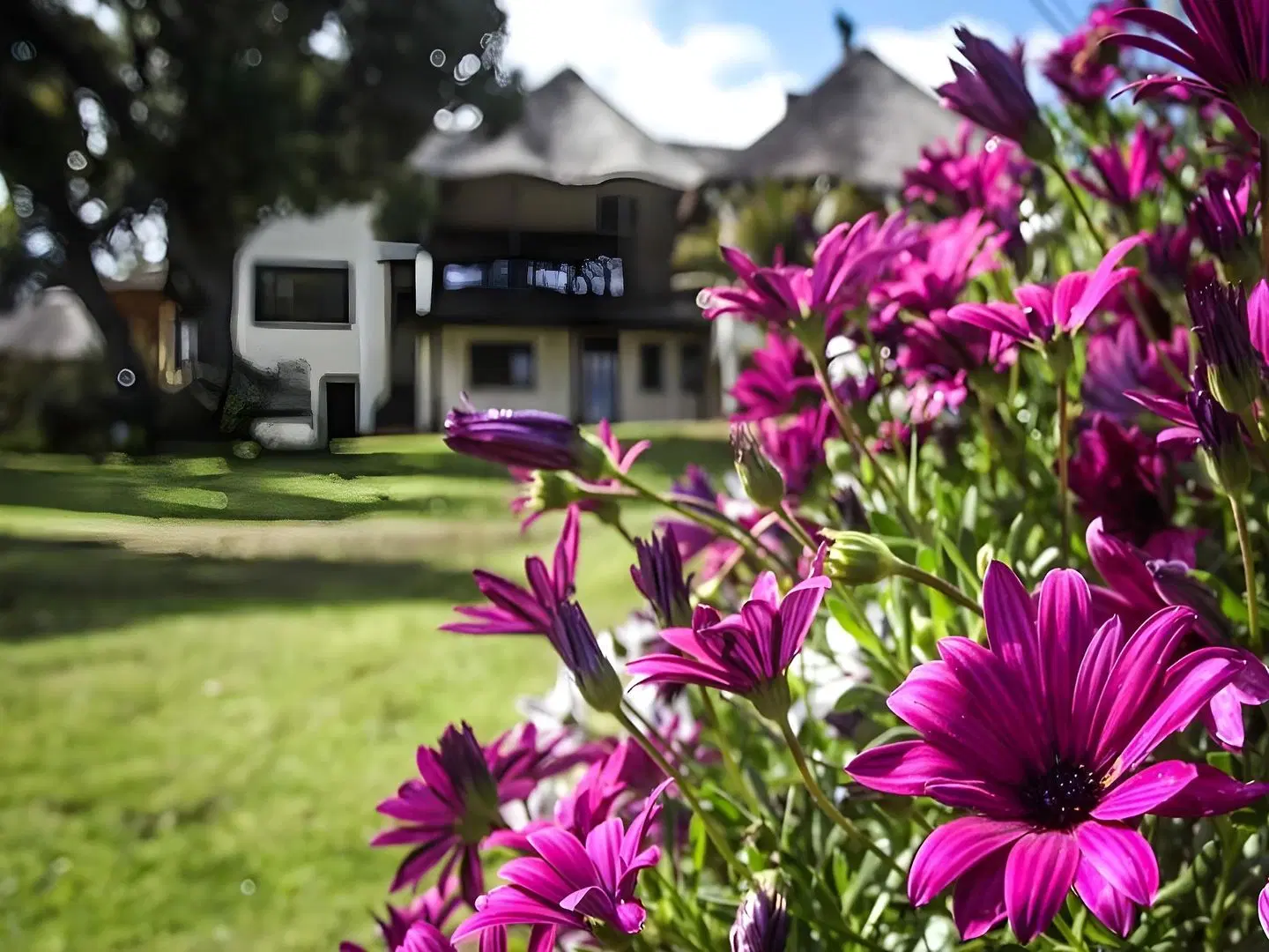 Winelands Villa Guesthouse Garten