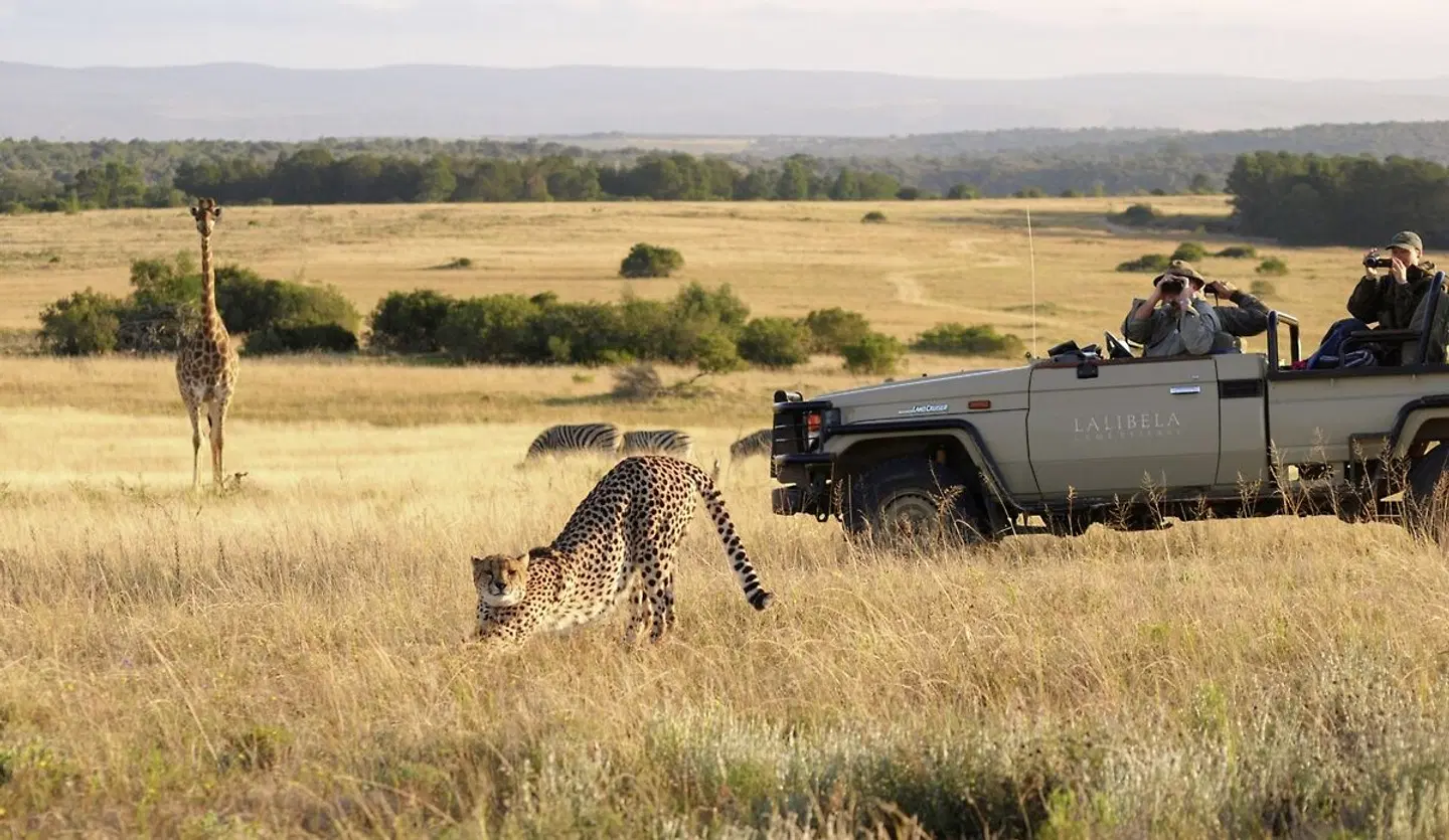 Lalibela Private Game Reserve LANDSCAPE