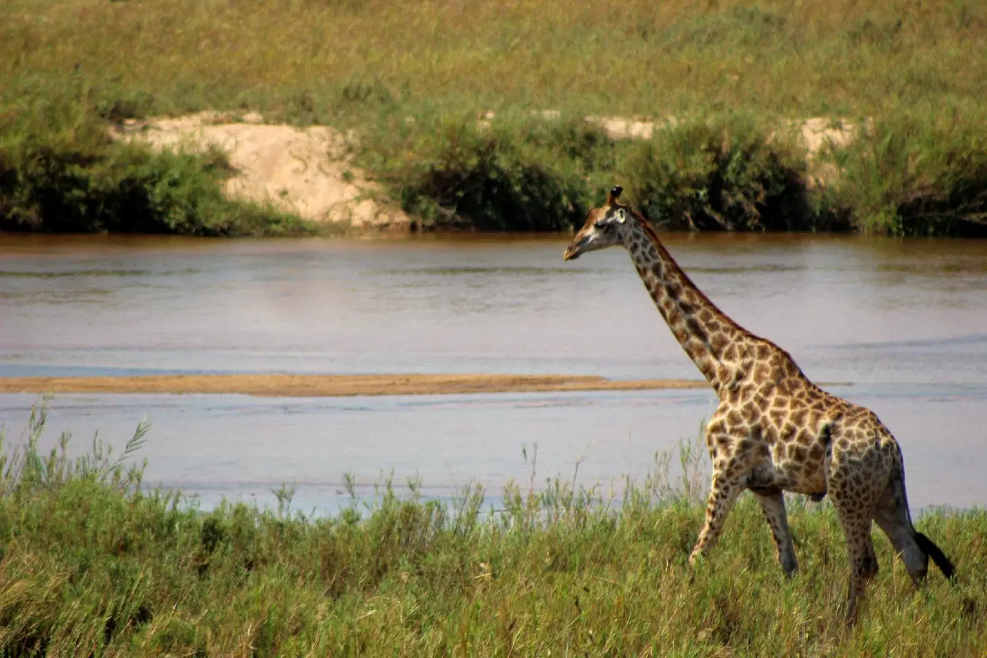 Ecolux Boutique Hotel Tiere
