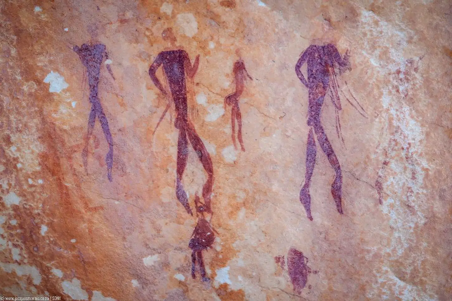 Kagga Kamma Nature Reserve LANDSCAPE