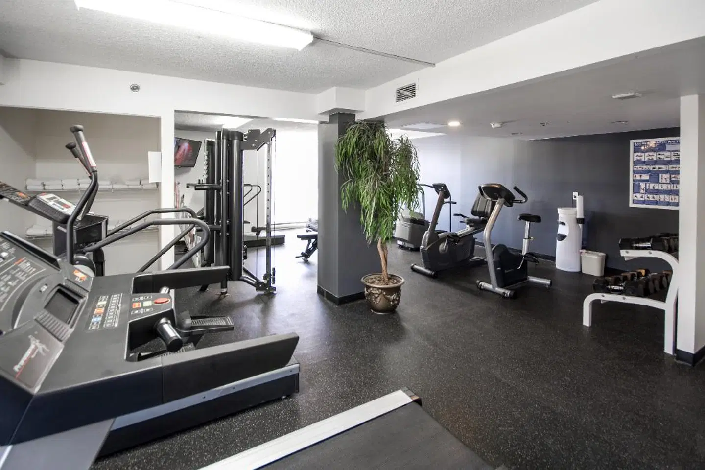 Hotel Faubourg Montreal SPORTS_AND_LEISURE