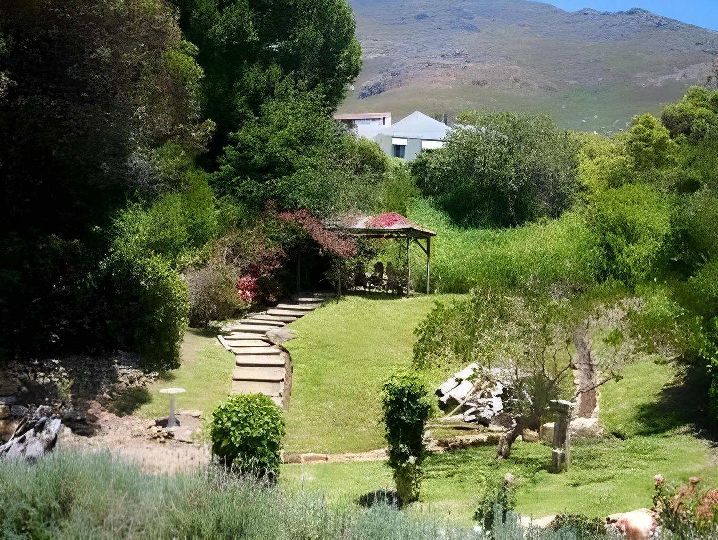 Whale View Manor Guesthouse Garten