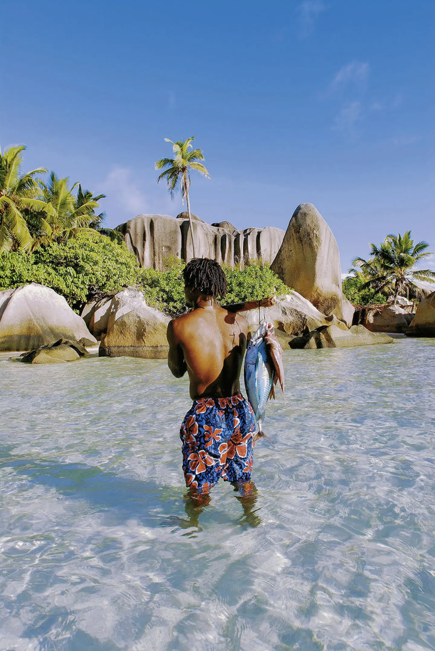 Island Hopping Seychellen (Hotels: Mittelklasse, Standardtransfers, 8 Nächte) Tiere