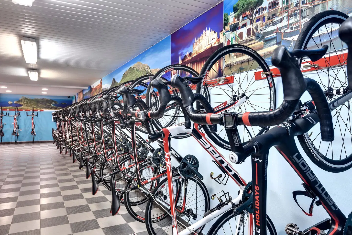 Occidental Playa de Palma SPORTS_AND_LEISURE