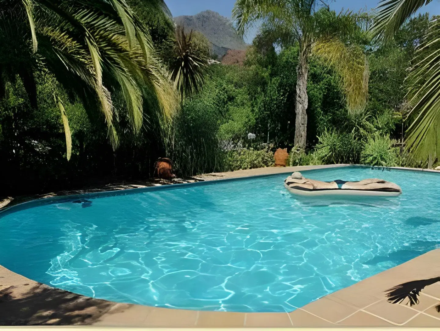 Africa Lodge OUTDOOR_POOL