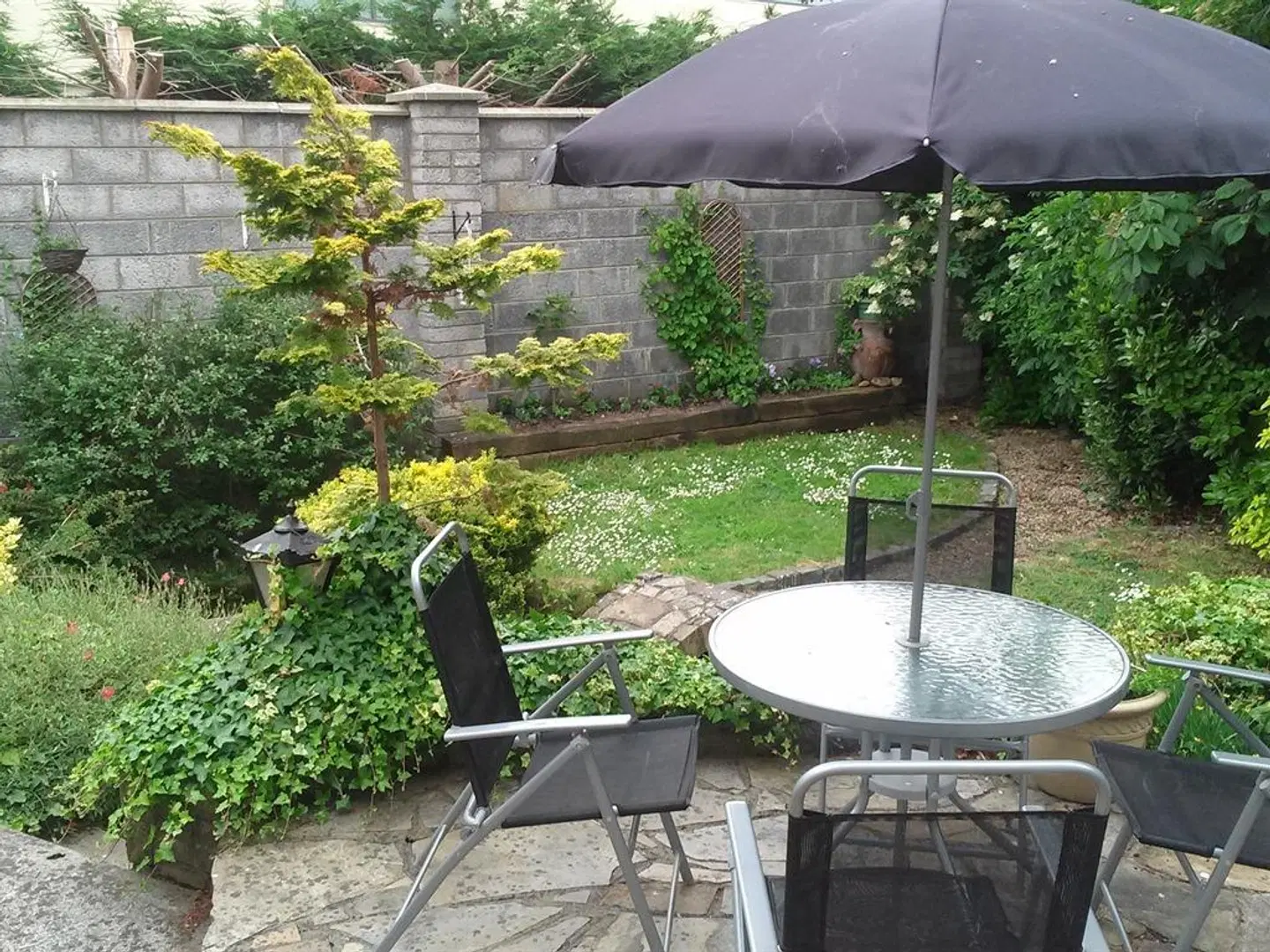 Hazelbrook GARDEN
