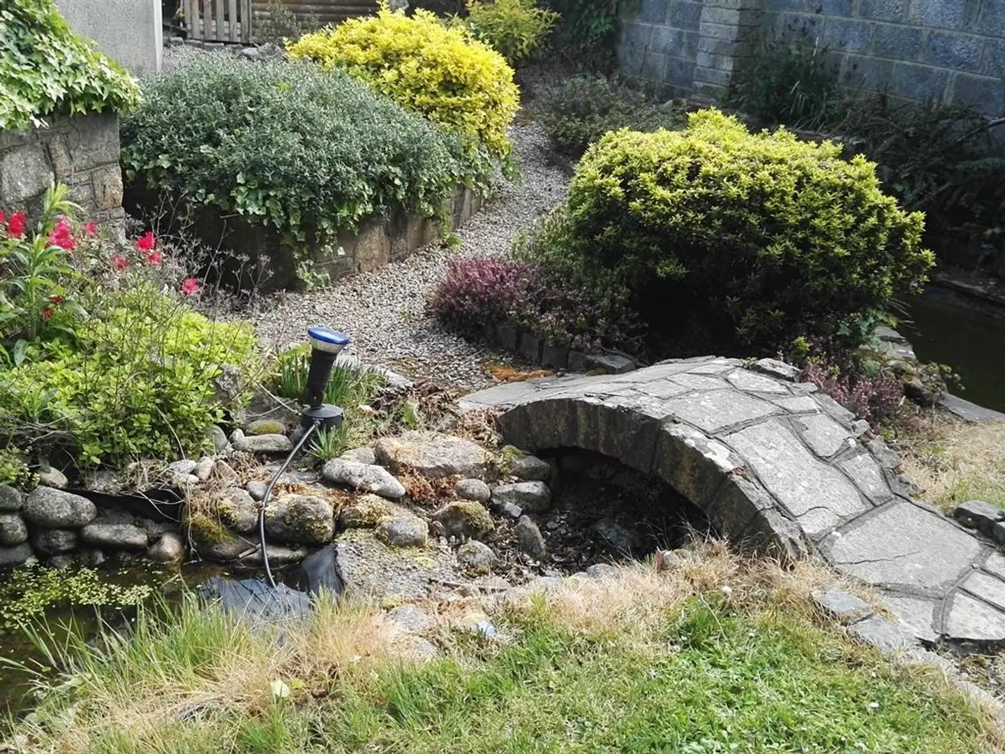 Hazelbrook GARDEN
