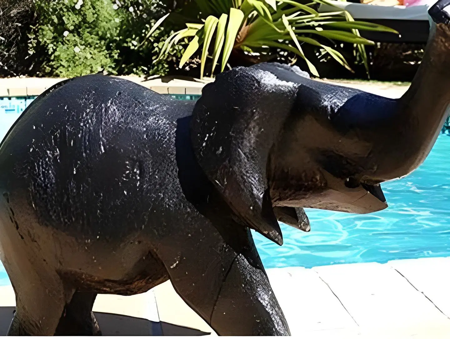 Elements Lodge Tiere