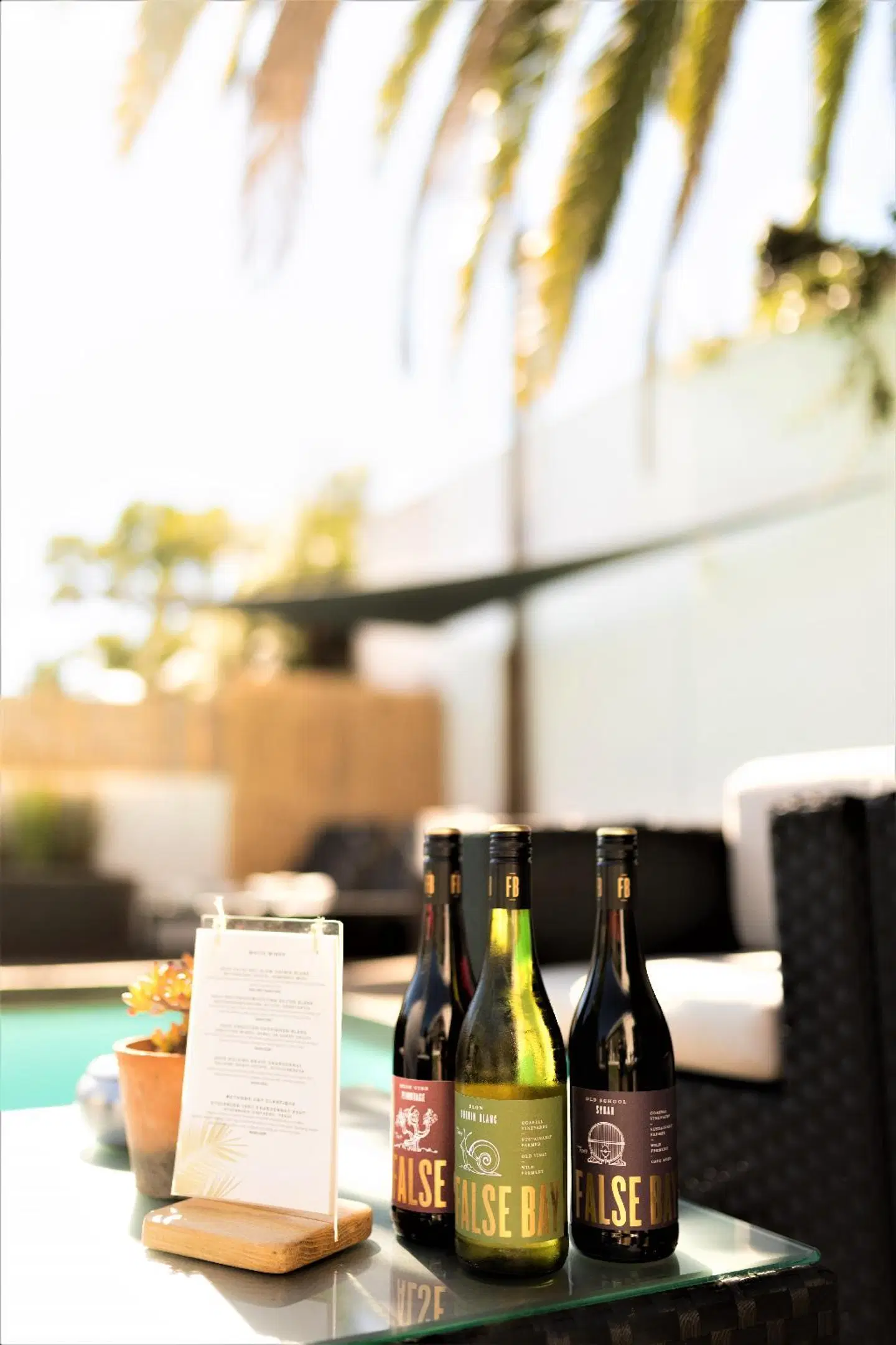 Cape Diem Lodge MODEL_IMPRESSION