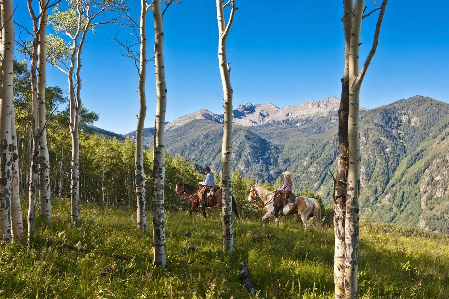 The Pines Lodge Tiere
