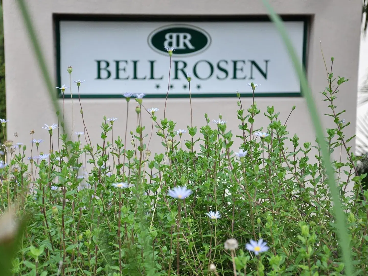 Bell Rosen Guesthouse & Conference Centre Garten