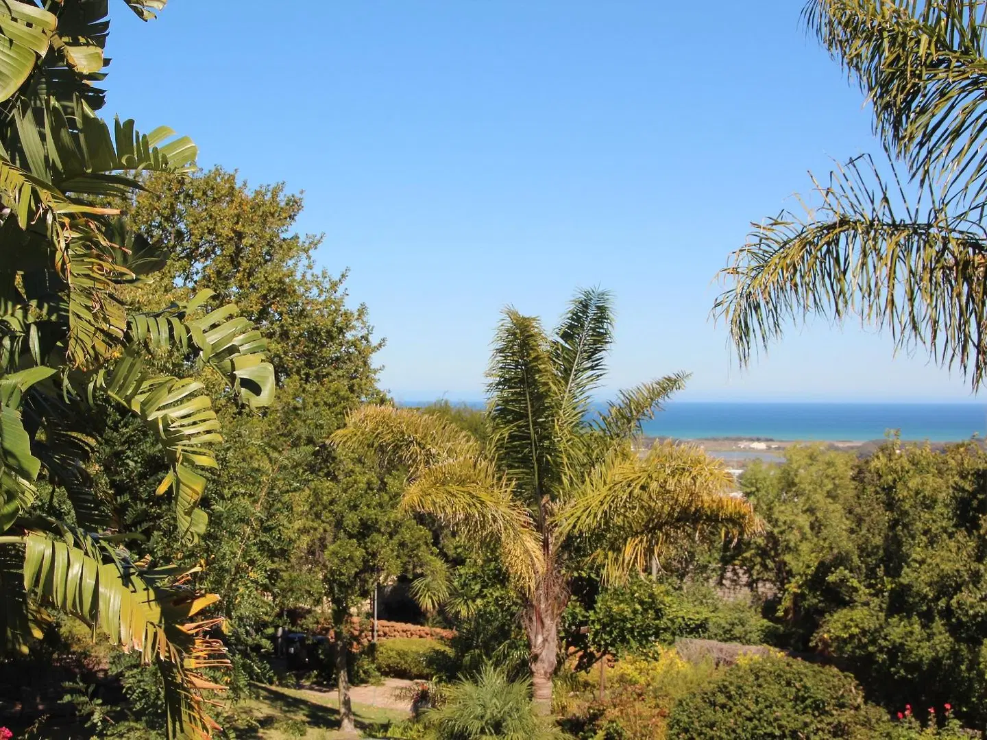 Southern Cross Guesthouse LANDSCAPE