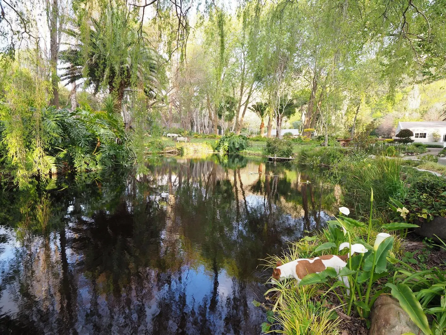 Waterland LANDSCAPE