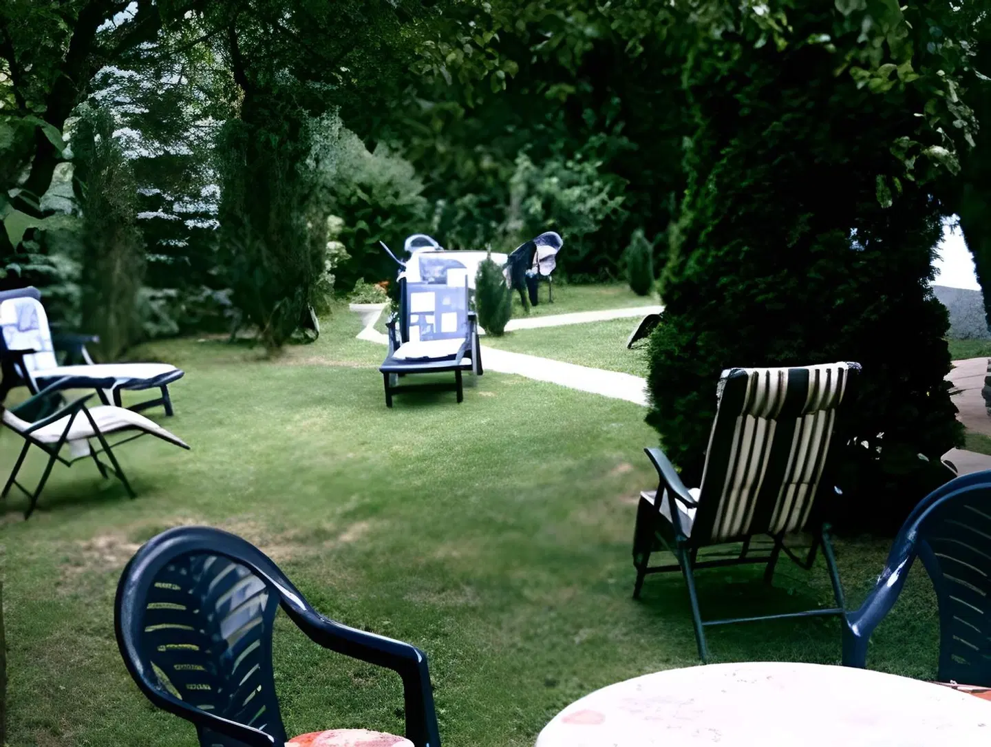 Wiesenau Garten