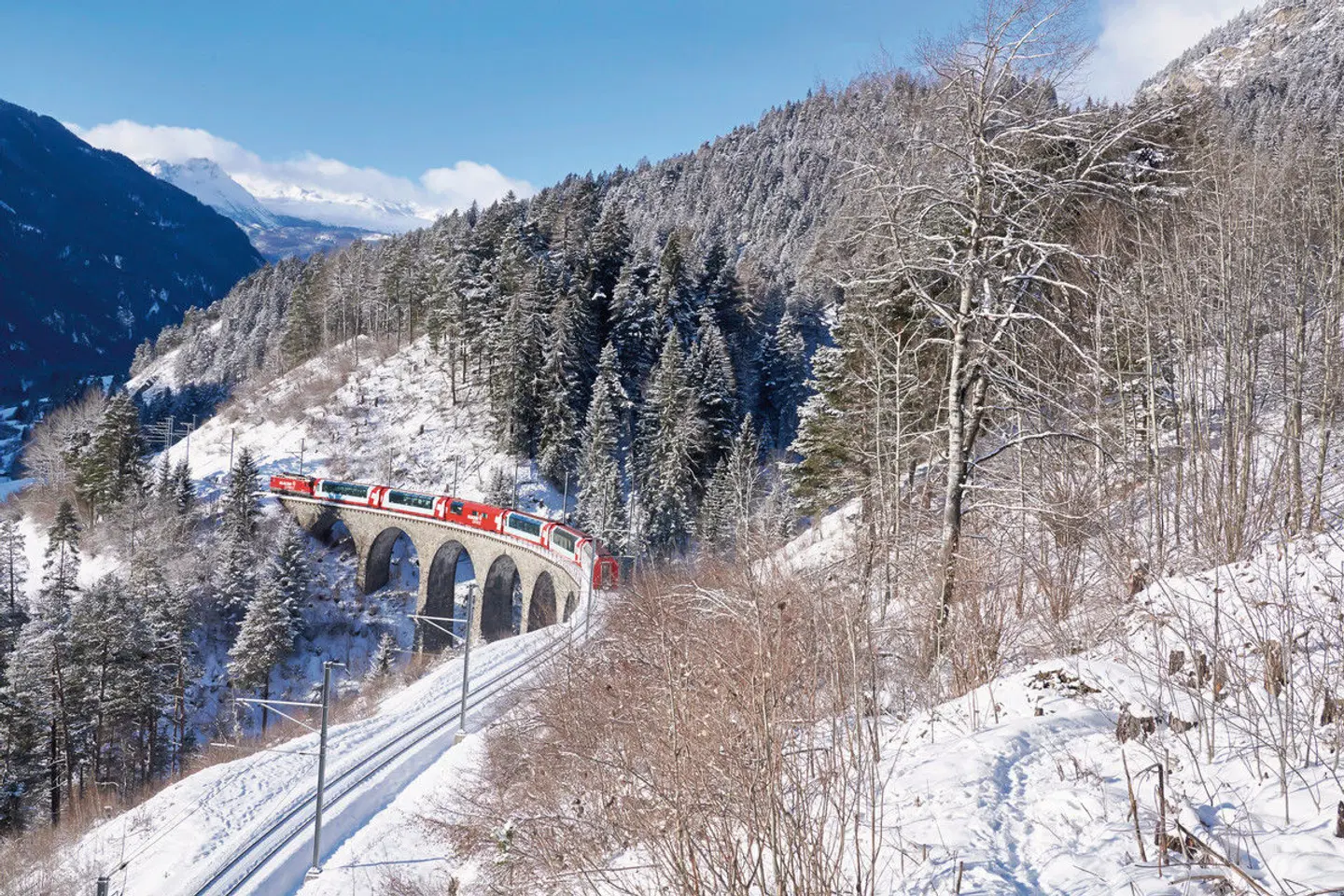 Grand Train Tour of Switzerland - Winterfaszination Tiere