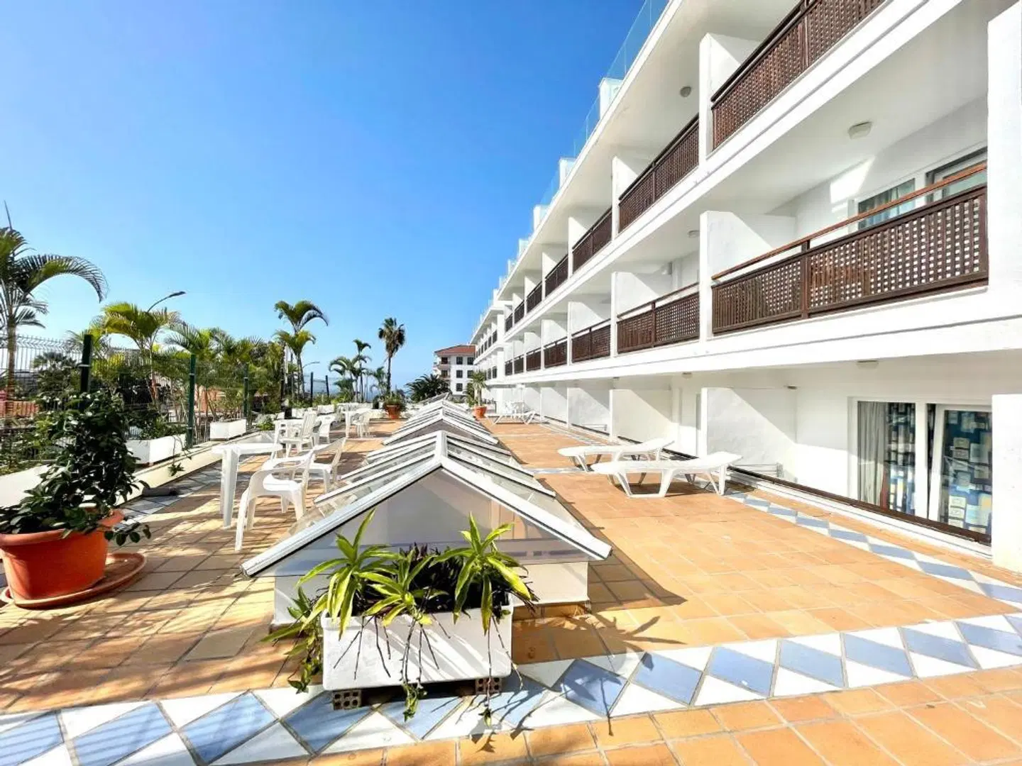 Apartamentos Pez Azul Terrasse