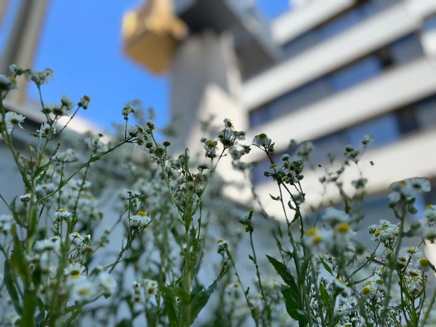 Post 120 Suites LANDSCAPE