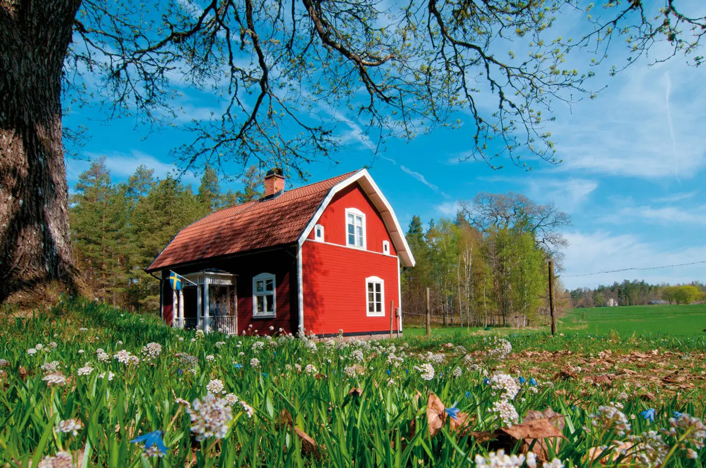 Skandinavien Rundreise  & Nordkap EXTERIOR