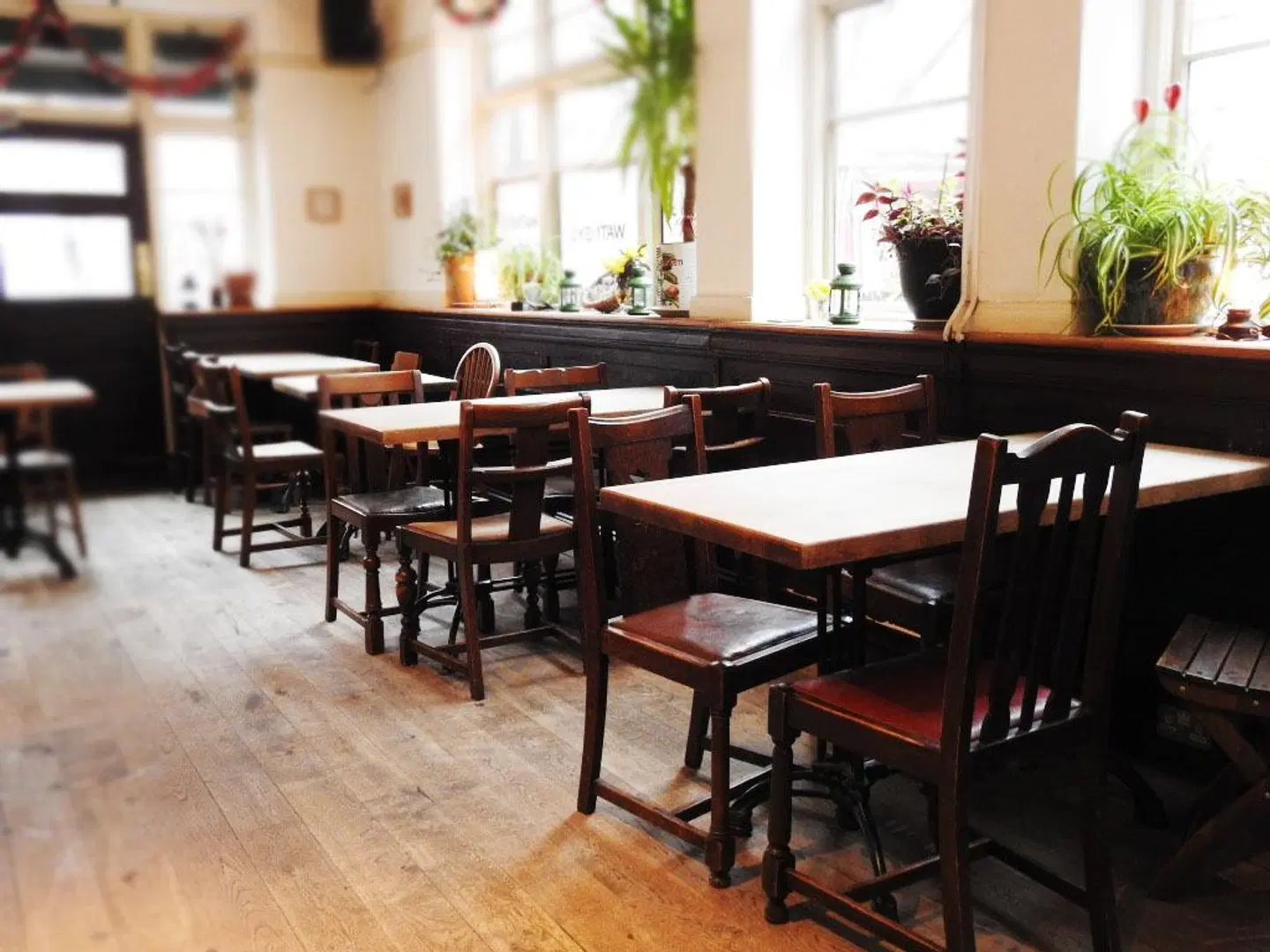 The Harrison Bar