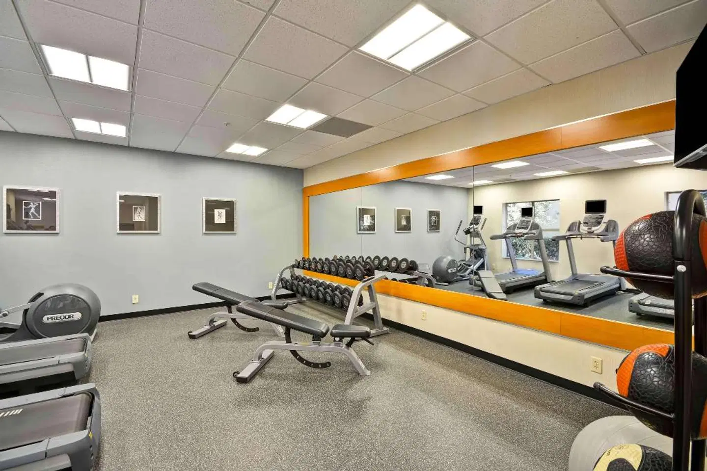 Homewood Suites by Hilton Dallas-Frisco SPORTS_AND_LEISURE