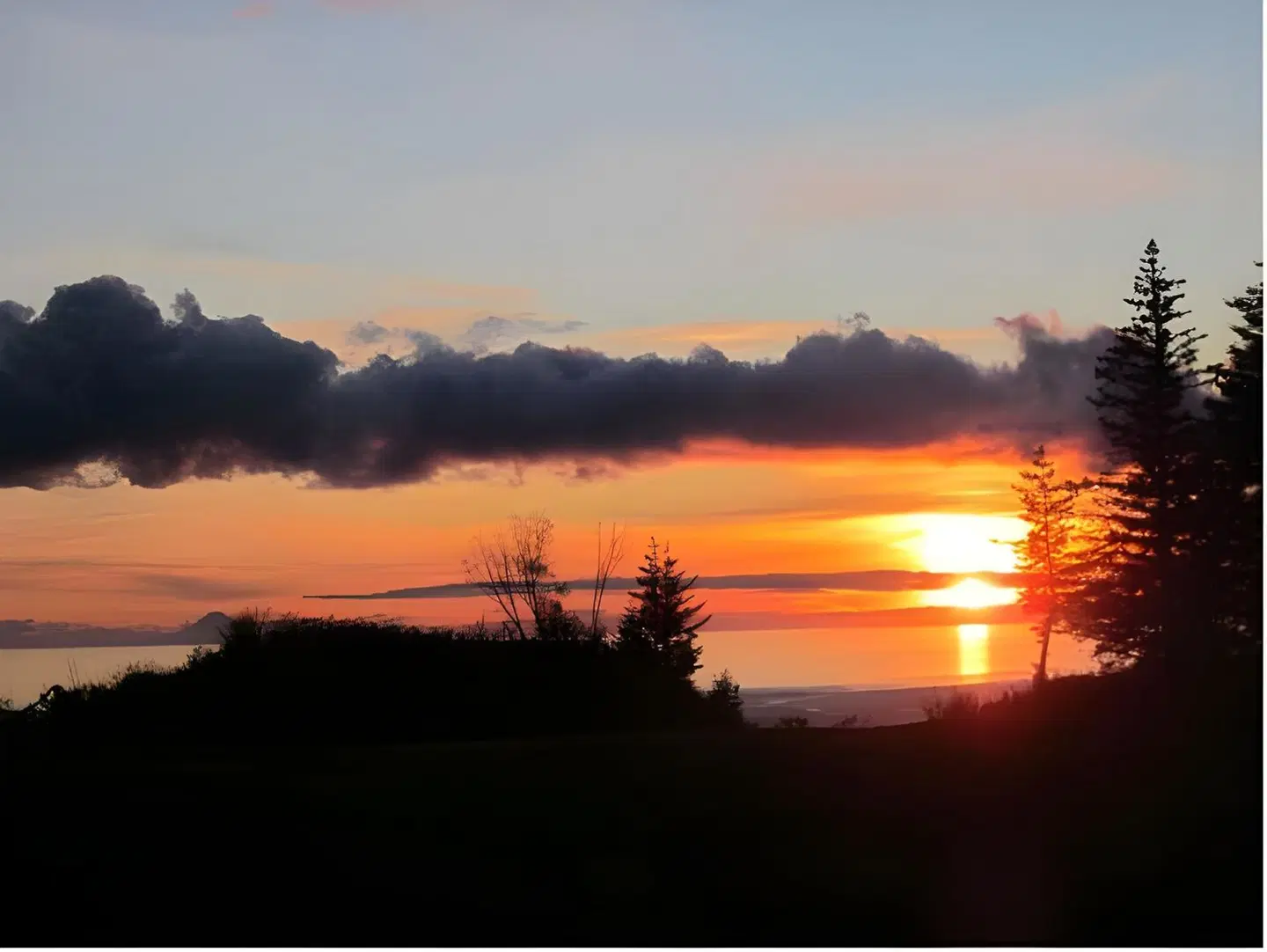 Kenai Peninsula Suites LANDSCAPE