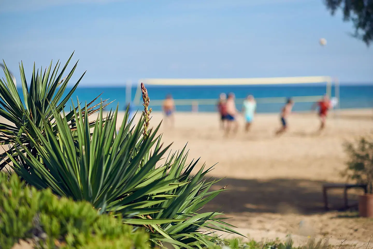 Pilot Beach Resort BEACH