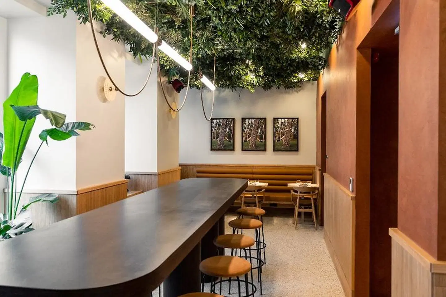 Verno House Bar