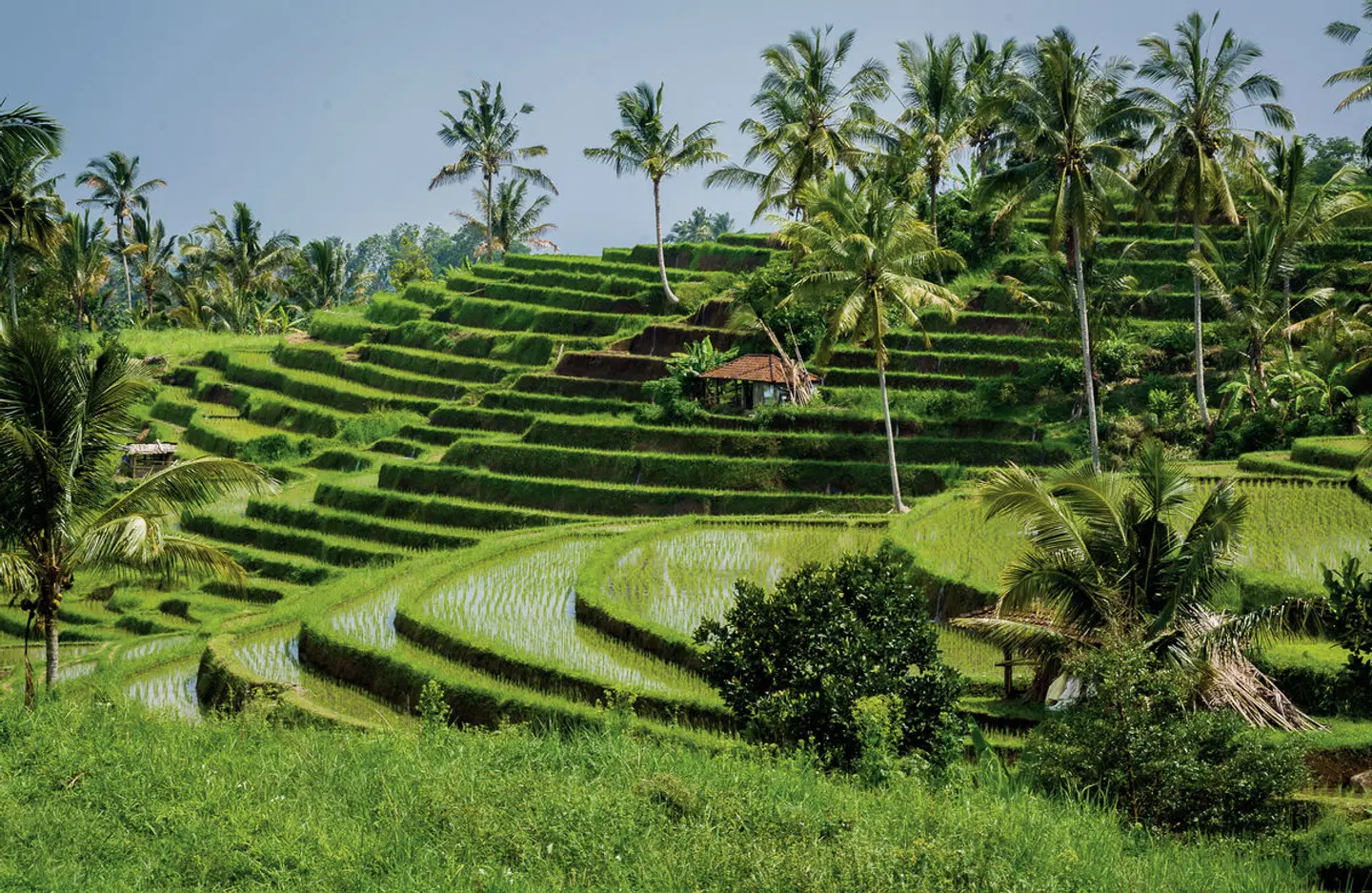 Bali Rundeise & Baden Garten