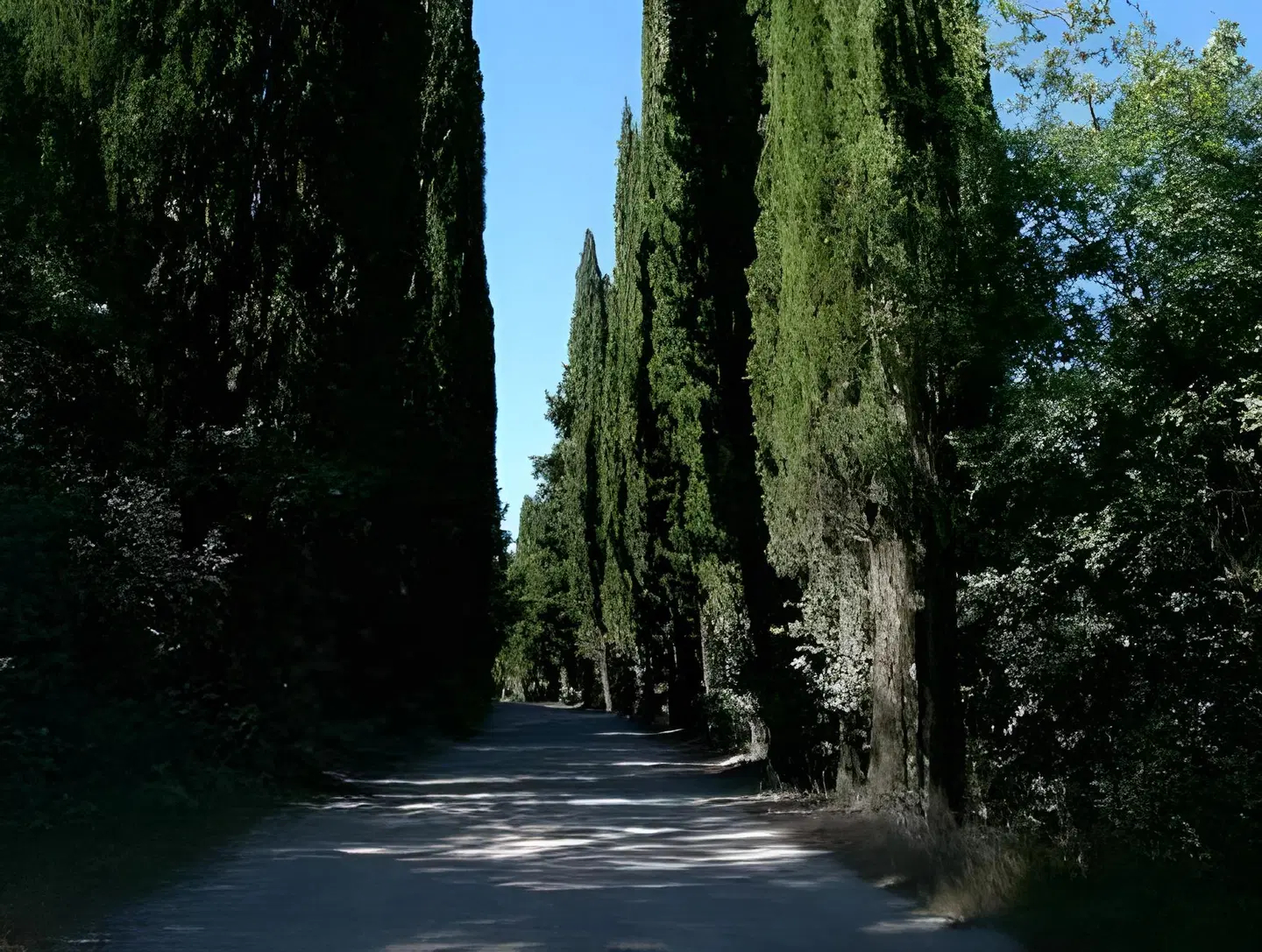 Castello La Leccia LANDSCAPE