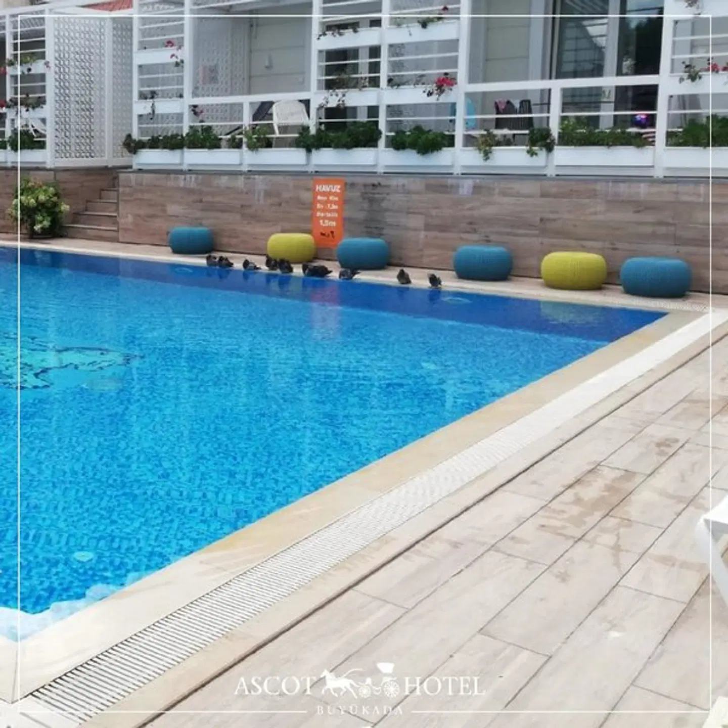 Ascot Hotel Büyükada OUTDOOR_POOL