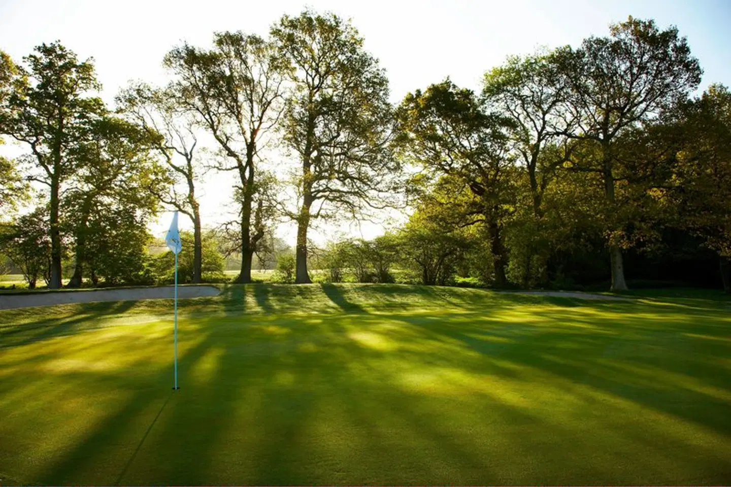 Lingfield Park Marriott Hotel & Country Club LANDSCAPE