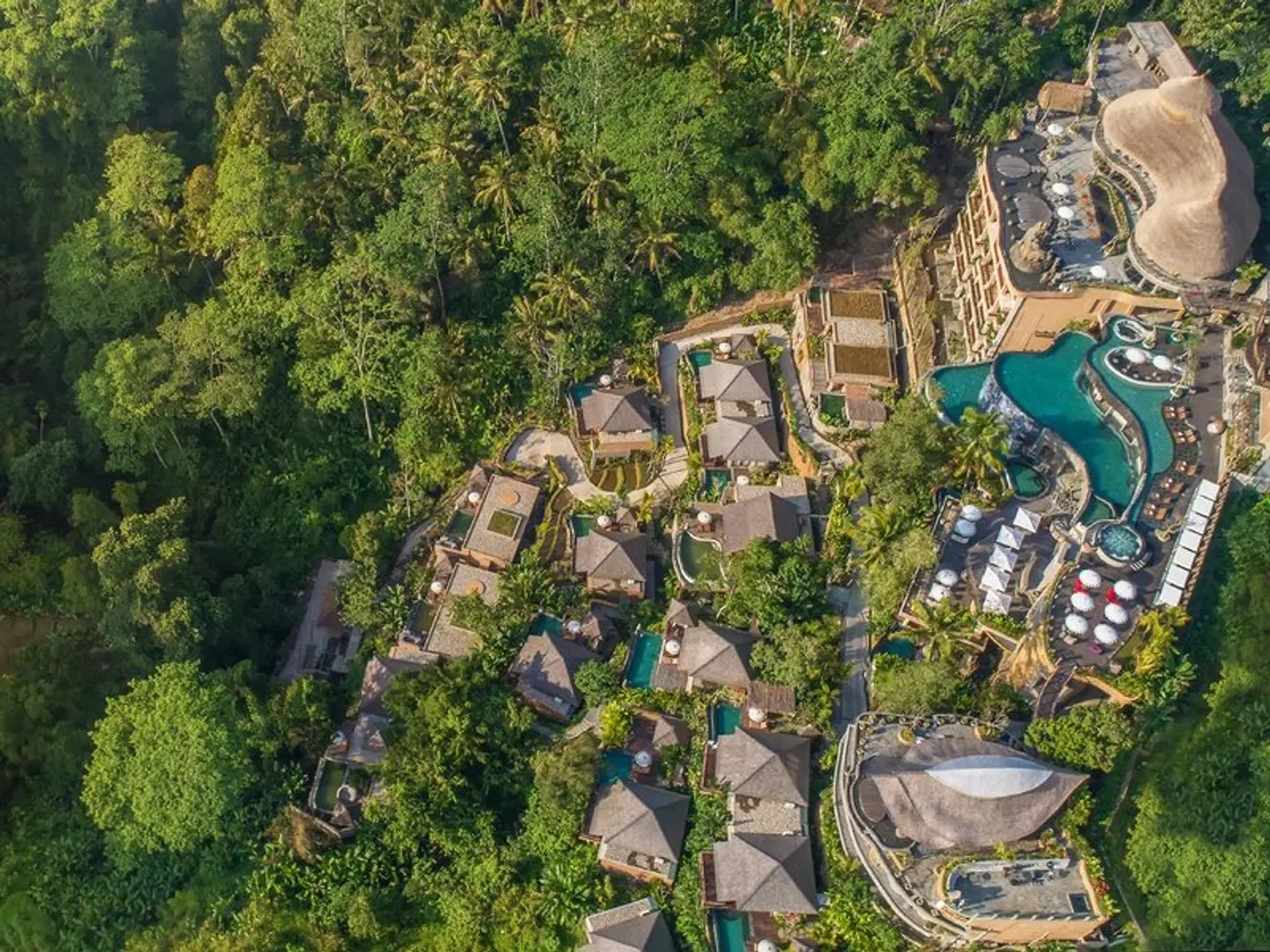 The Kayon Jungle Resort LANDSCAPE