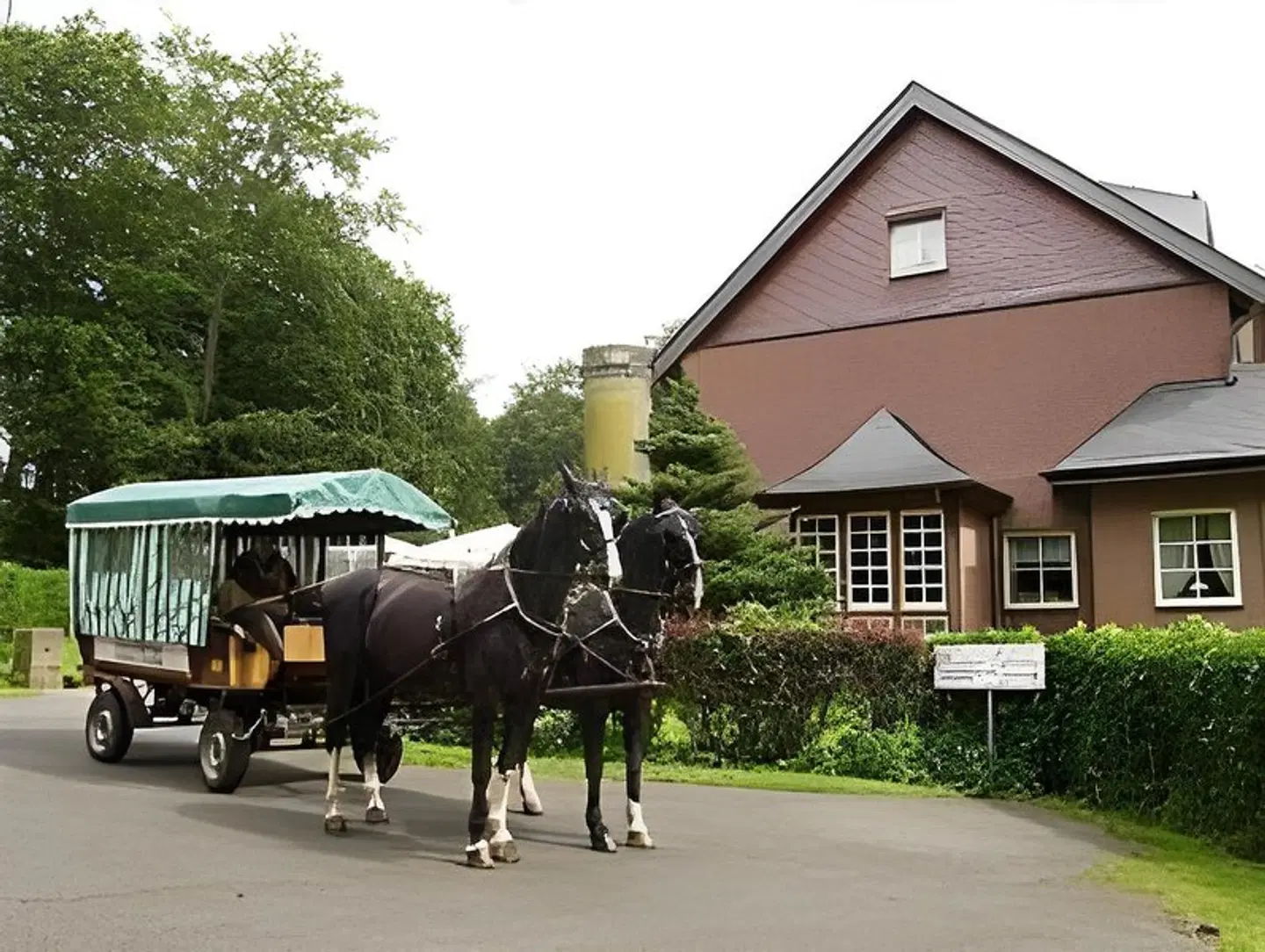 Elfbuchen SPORTS_AND_LEISURE