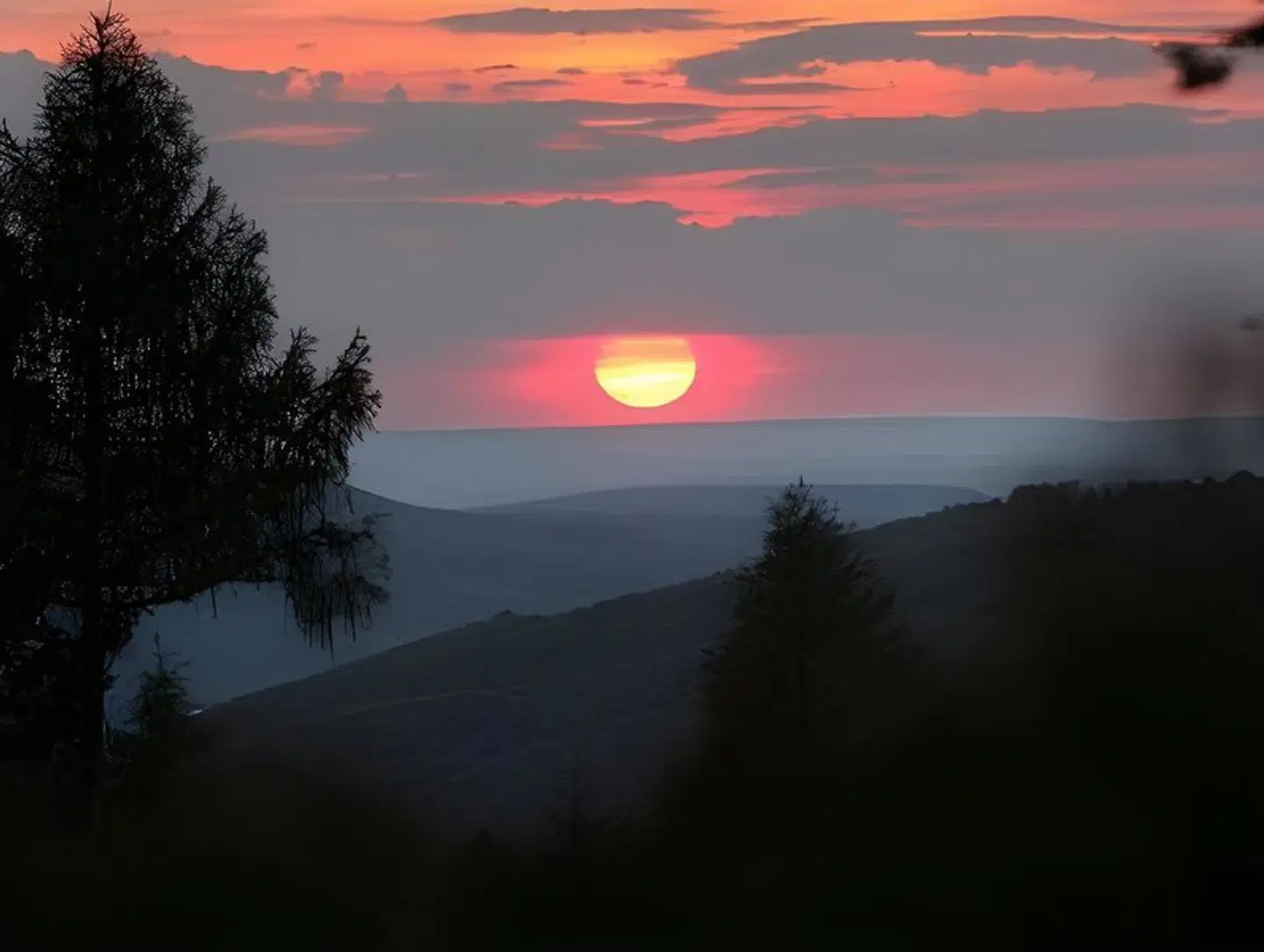 Elfbuchen LANDSCAPE