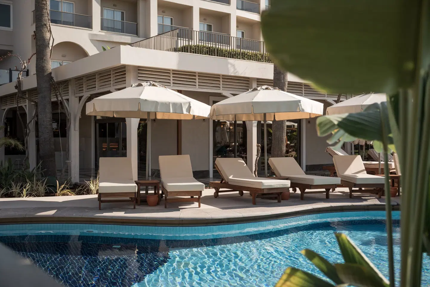Adalya Bliss +16 Adult Only EXTERIOR