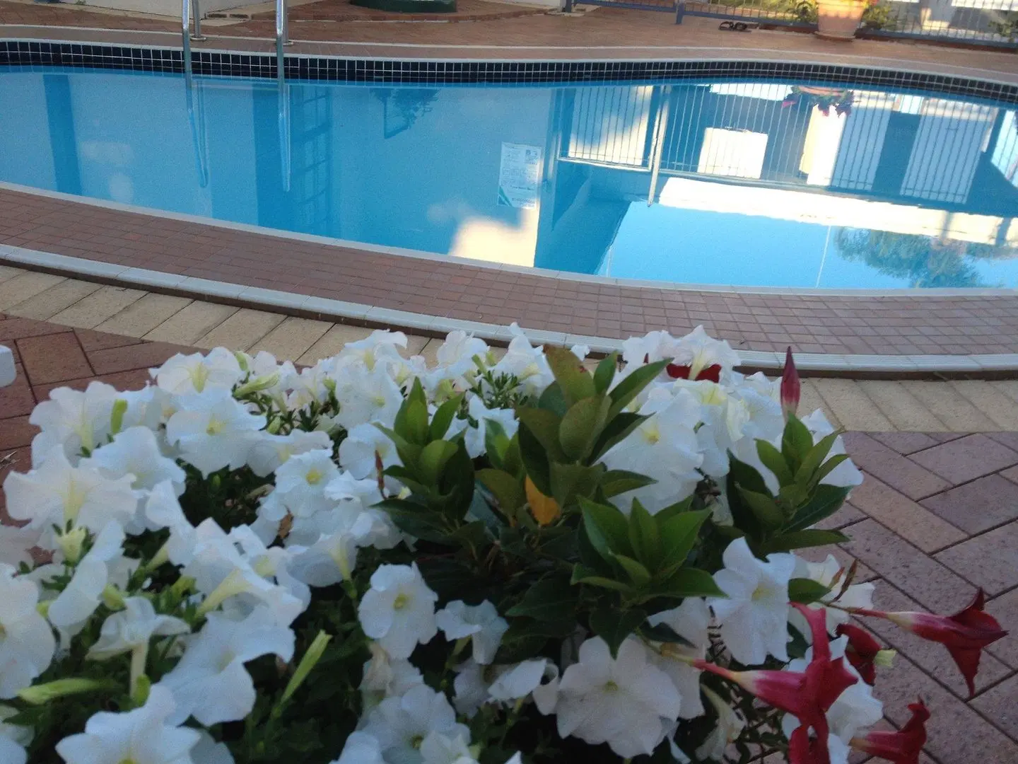 Main Street Motel Hervey Bay OUTDOOR_POOL