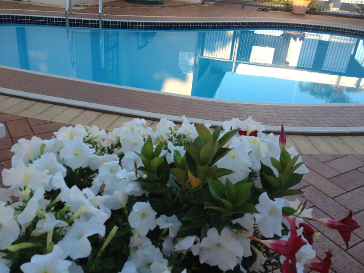 Main Street Motel Hervey Bay OUTDOOR_POOL