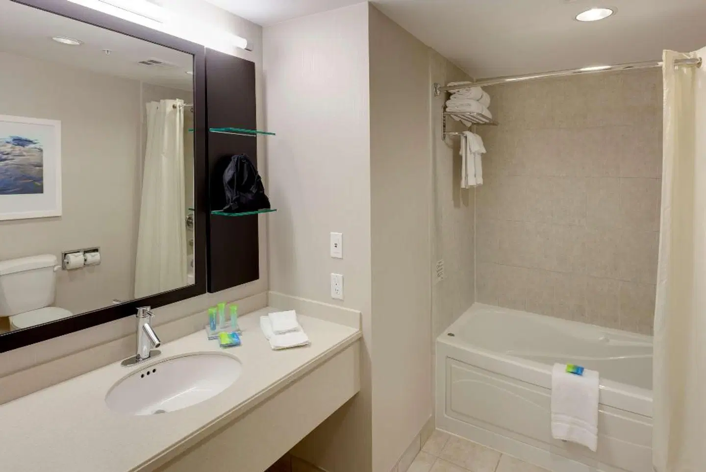 Radisson Hotel & Suites Fallsview Badezimmer