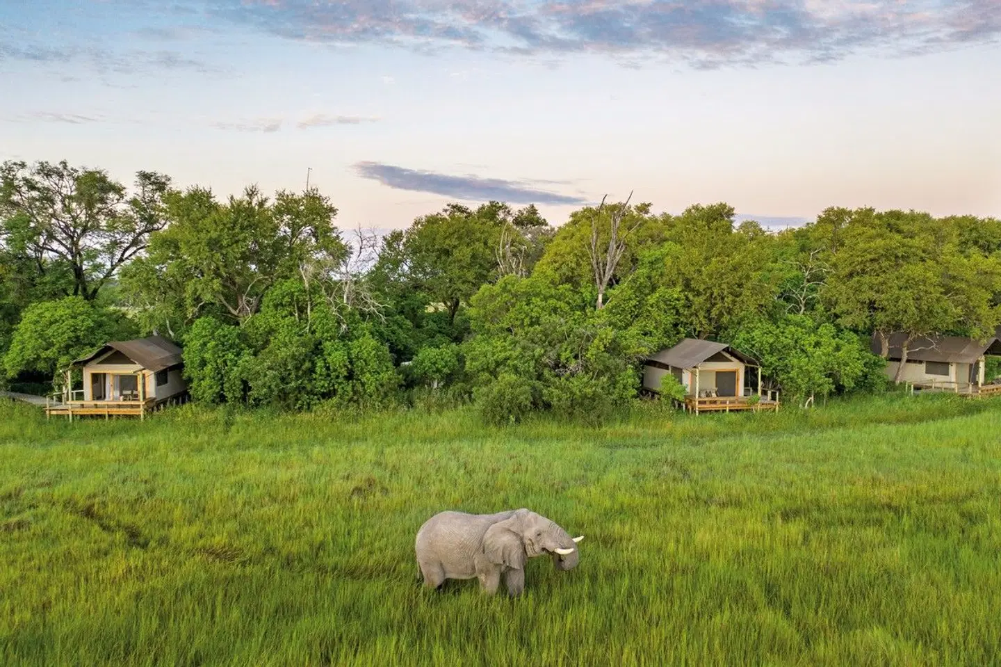 Botswana - Safaritraum mit Natural Selection Tiere