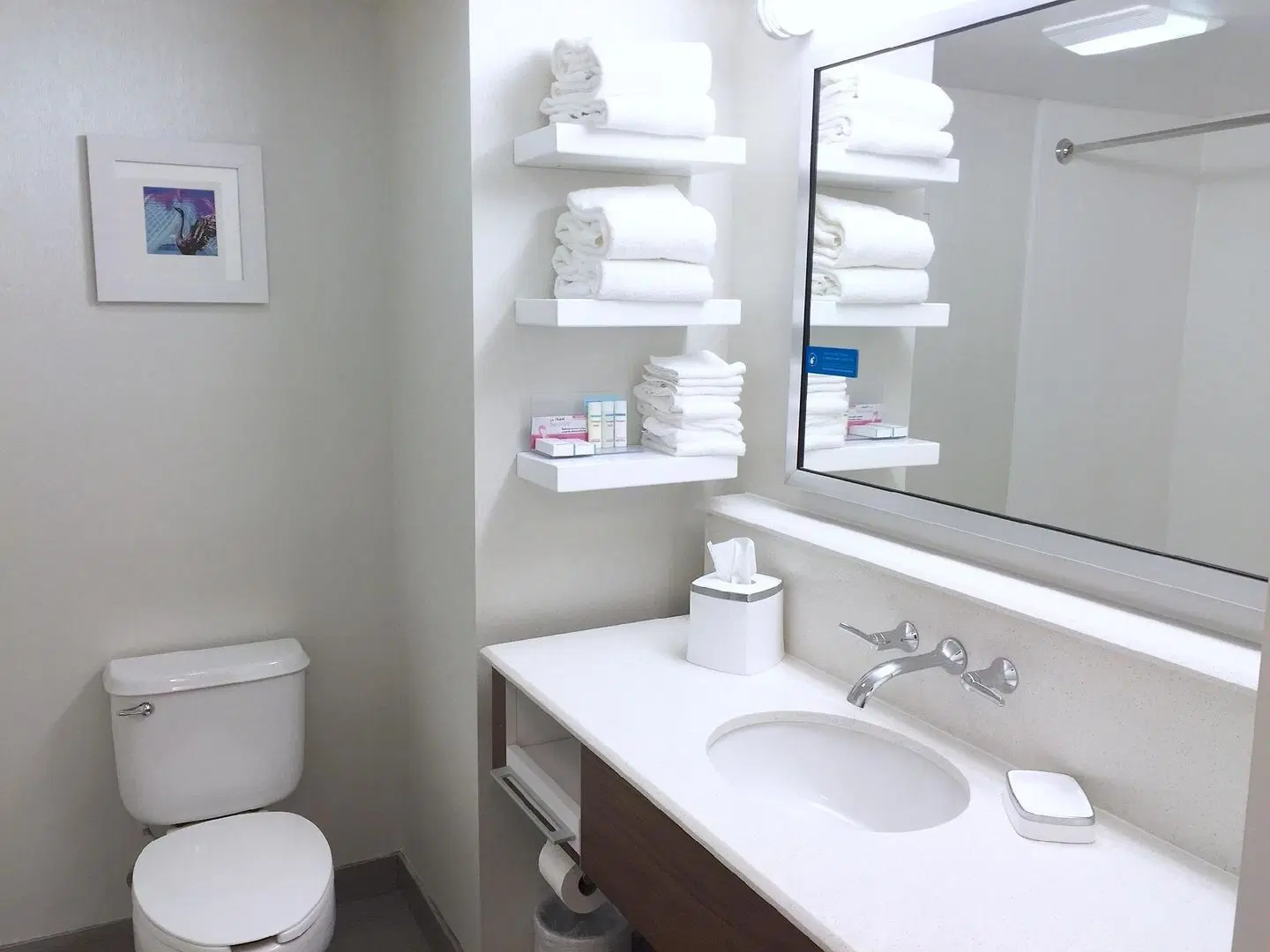 Hampton Inn Lakeland Badezimmer