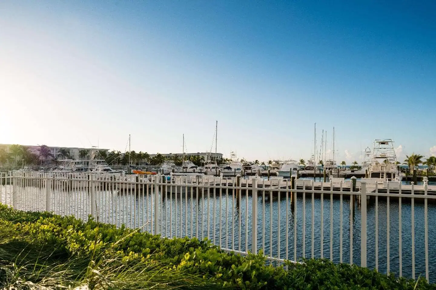 Oceans Edge Key West LANDSCAPE